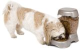 Petmate Pet Cafe Feeder Pearl Tan - 6 lbs