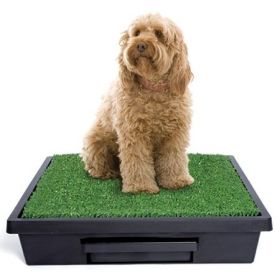 PetSafe Pet Loo Dog Potty Training System - Large - PWM00-14499