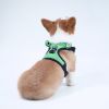 dog harness set; with leash frog leash pet mesh breathable small dog chest back retractable dog leash pet harness